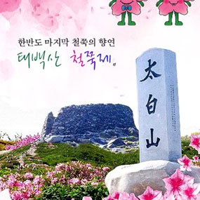 태백산 철쭉제 여행정보 상세소개