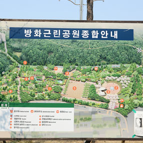 방화근린공원 봄꽃축제 여행정보 상세소개