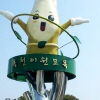 옥천이원묘목축제 여행정보 상세소개