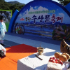 수산물 축제여행정보 http://www.travelkor.com